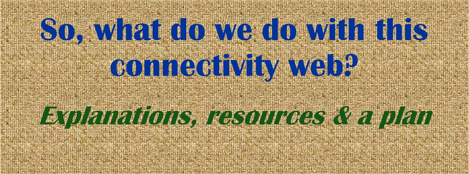 connectivity-web-what-to-do-next.jpg