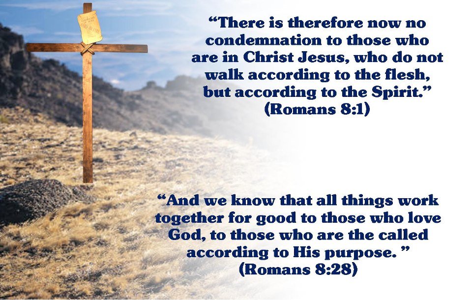 romans8.jpg