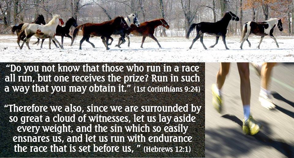 runningrace.jpg