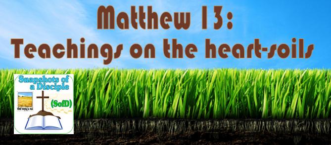 Matthew 13 study banner