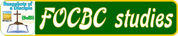 FOCBC studies