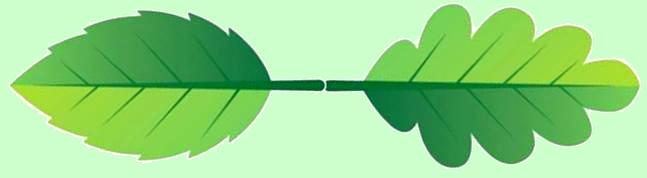leaf divider